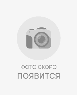 Чай зеленый Мятный