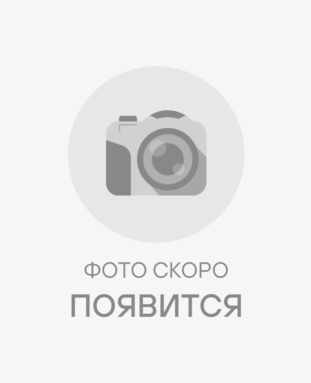 Чай зеленый Мятный